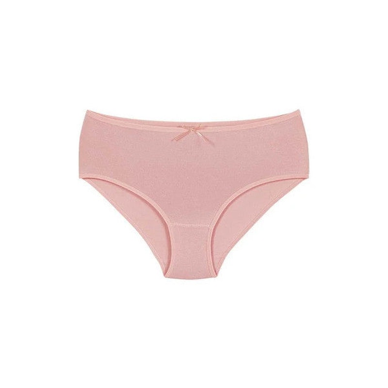 6 Pieces Yldz Women Bamboo Bato Panties Powder 3924