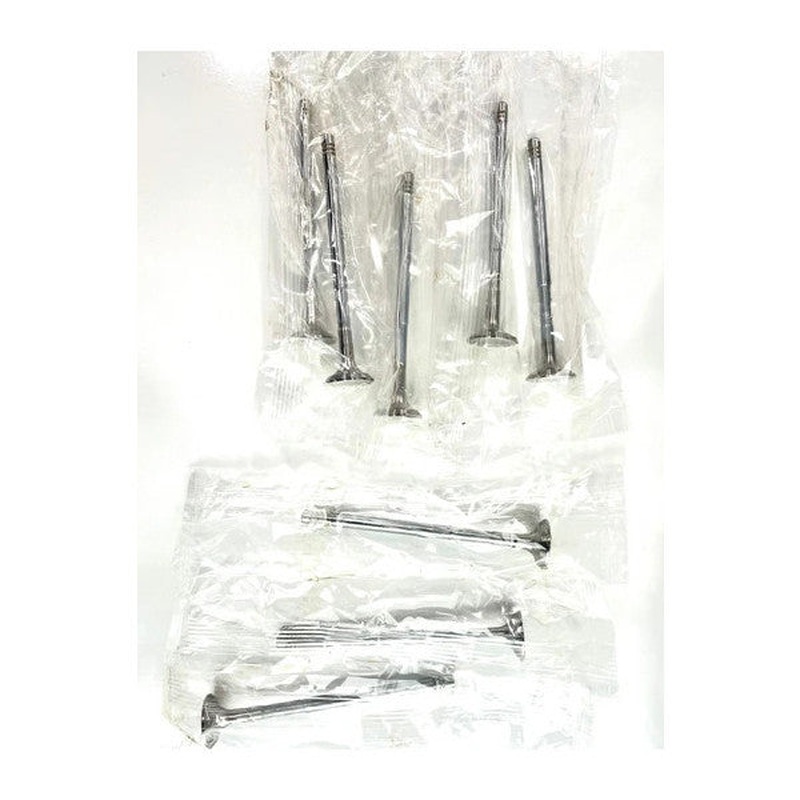 Valve Set Clio-Kango-Megan 1.5 Diesel-105317108 Compatible