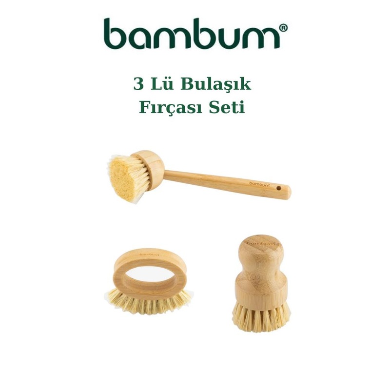 Belize - 3 Piece Kitchen Brush Set - Dish Brush Set