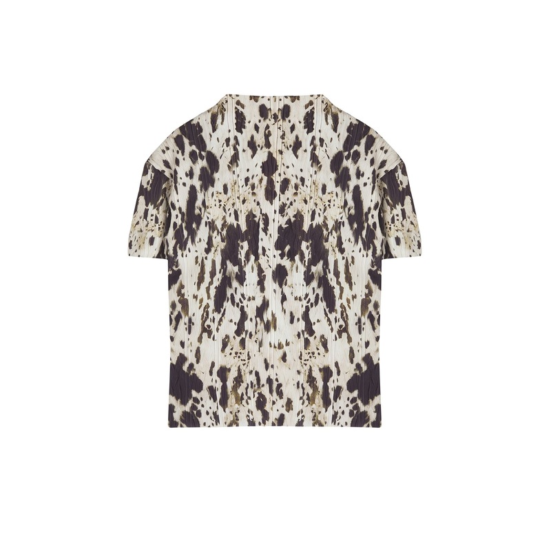 Curve Women's Geblmt Short Regular Plus Size Blouse