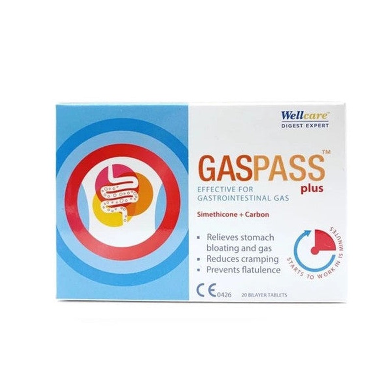 Wellcare Gaspass Plus 20 Tablet