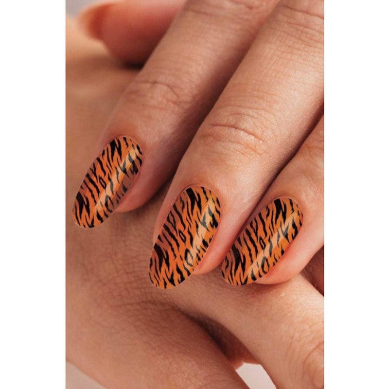 Colorful Zebra Nail Tattoo,nail Tattoo,nail Art,nail Sticker