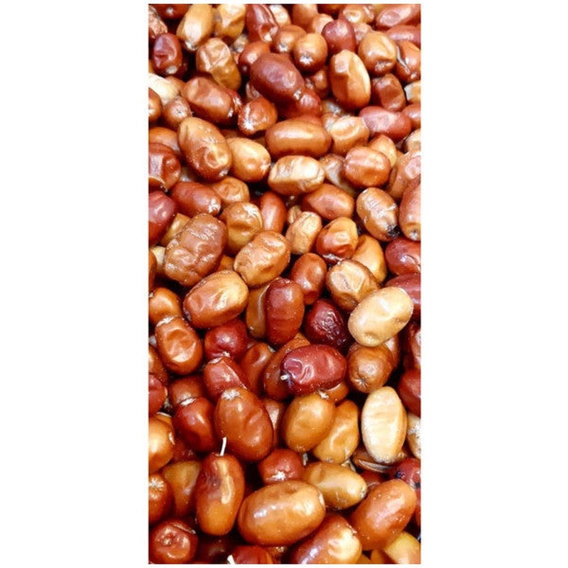 Dileker Natural Oleaster 250 Grams