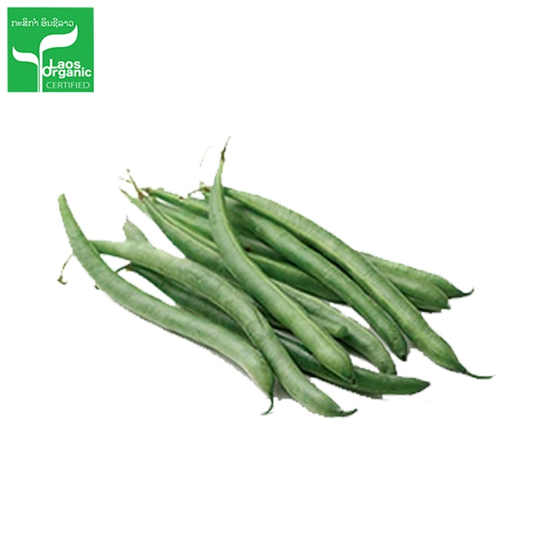 Organic Bush Beans per 500g