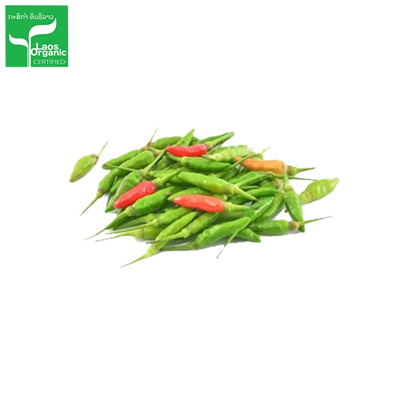 Organic Chili Mini 500g