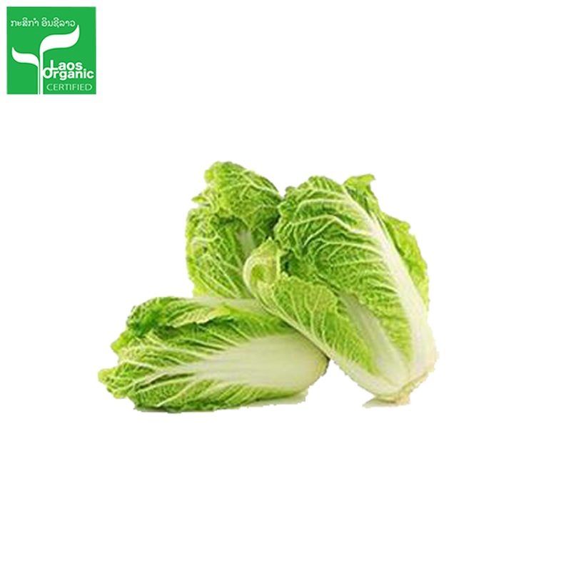Organic Chinese Cabbage per 500g