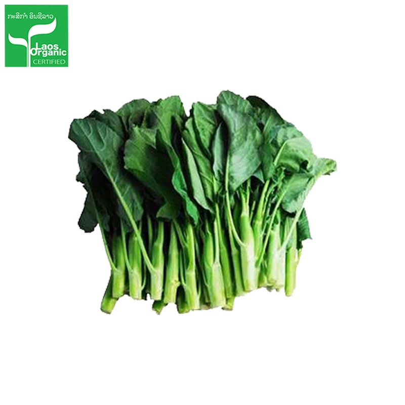 Organic Chinese Kale 500g