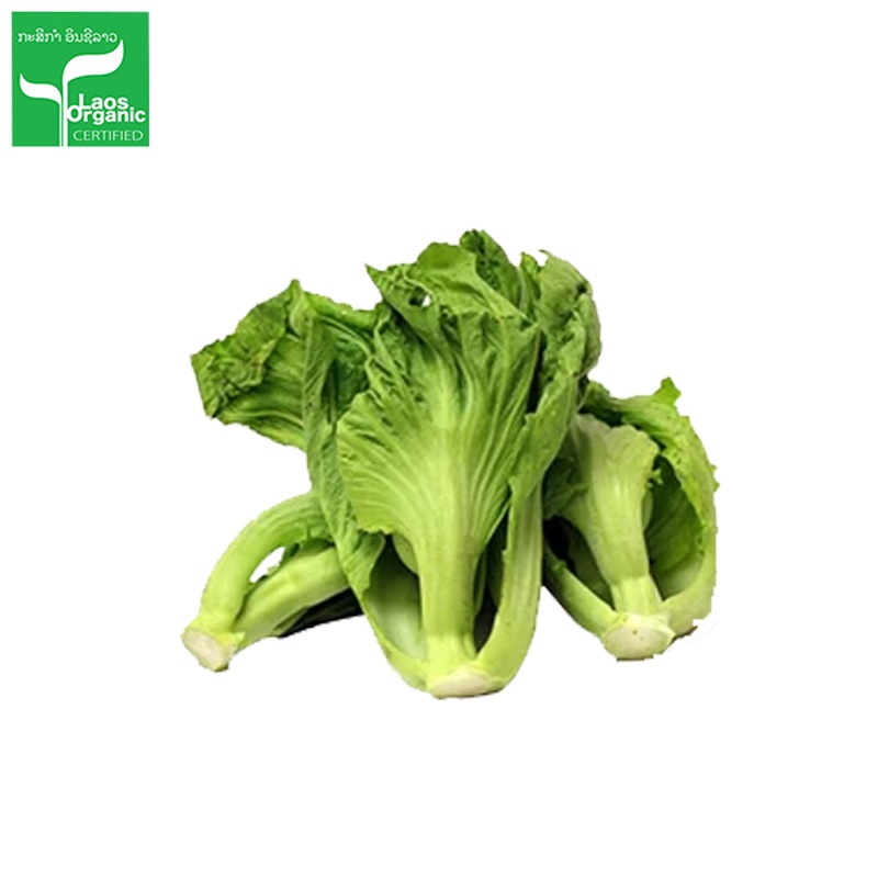 Organic Chinese Mustard Greens  per 500g