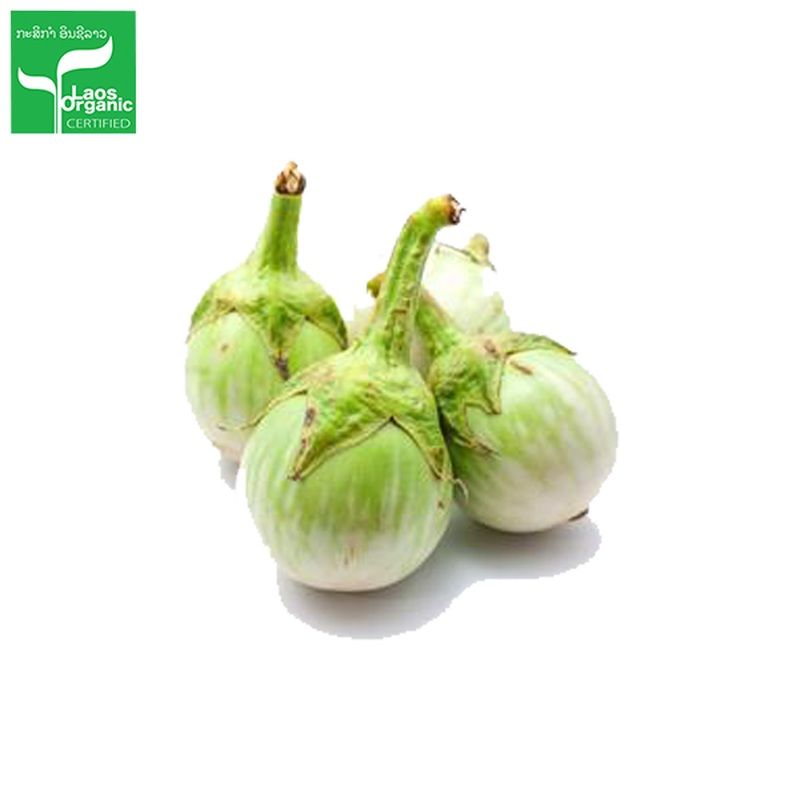 Organic Round Eggplant 0.5kg
