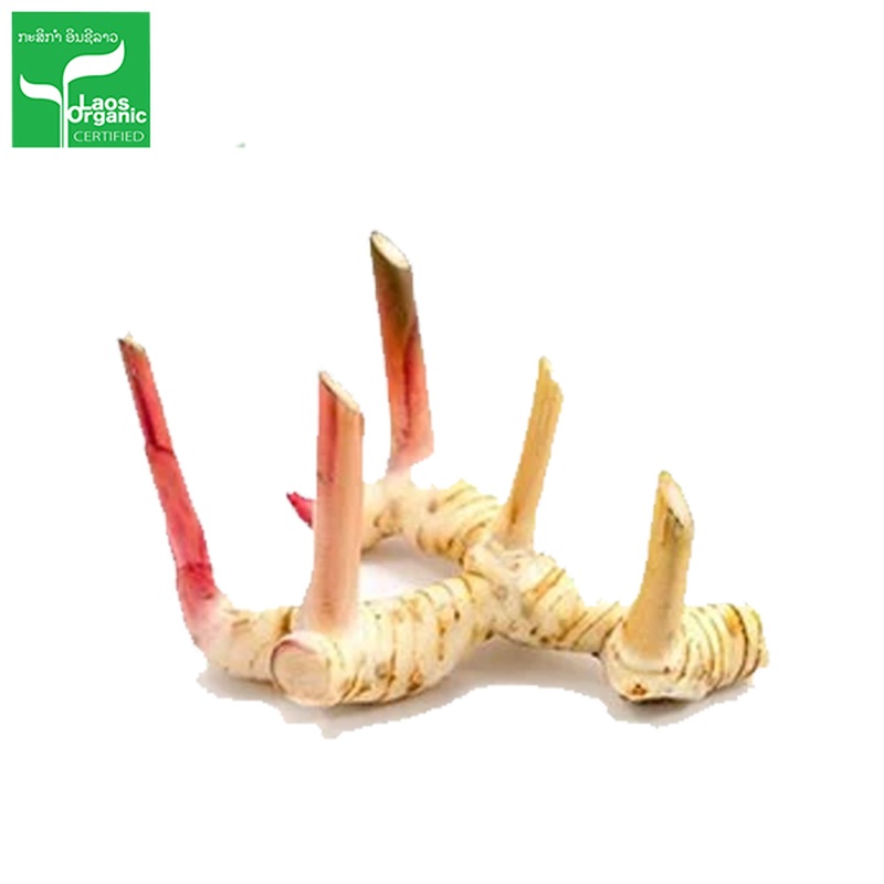 Organic Galanga Root per 500g