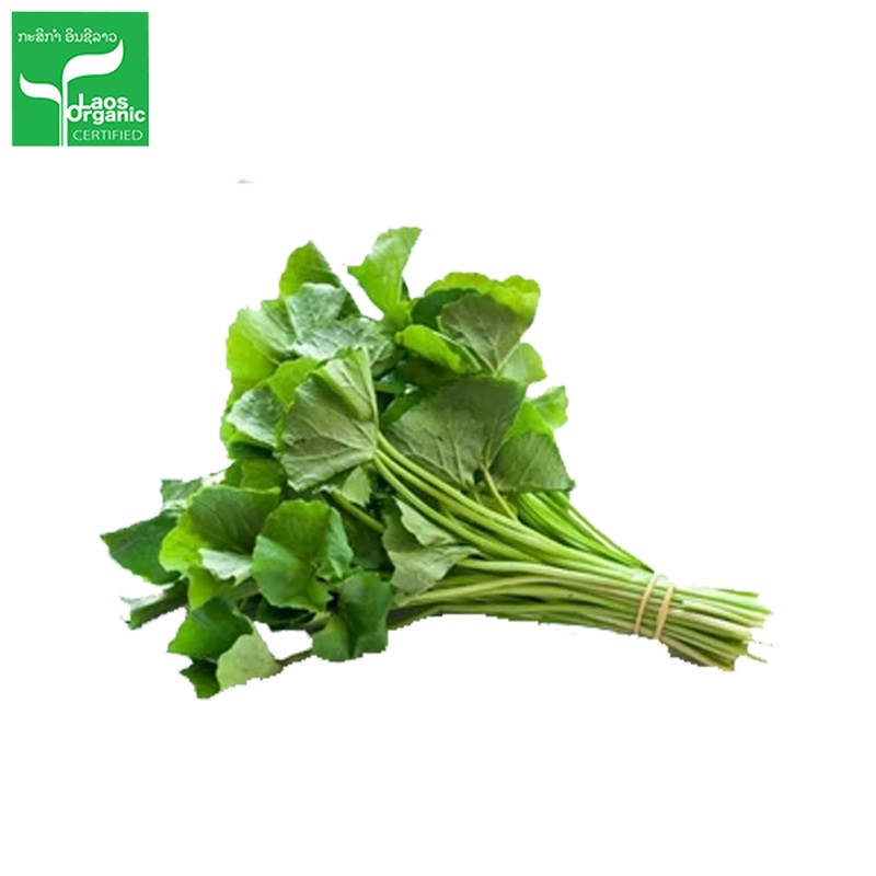 Organic Gotu Kola 0.5kg