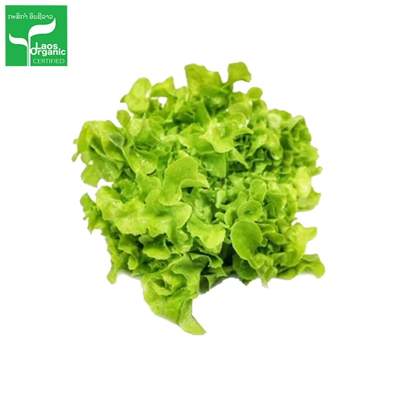 Organic Green Oak Salad per 0.5kg