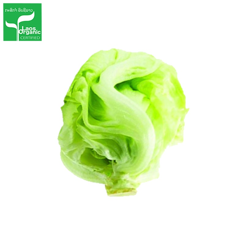 Organic Iceberg Salad per 0.5kg