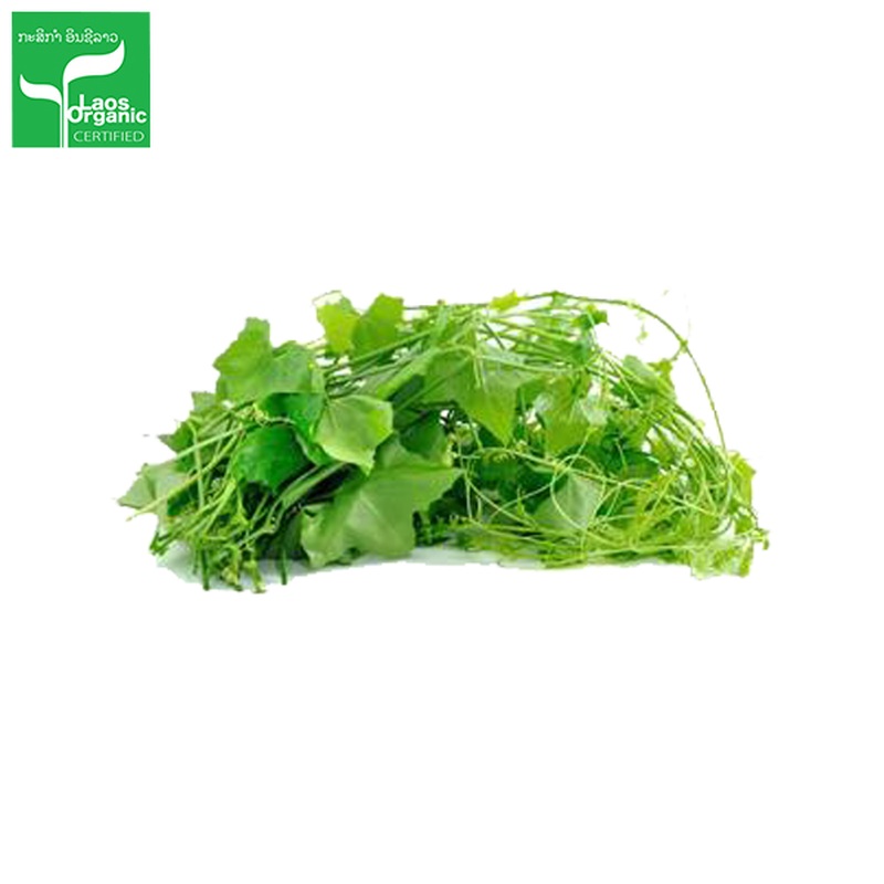 Organic Ivy Gourd 0.5kg