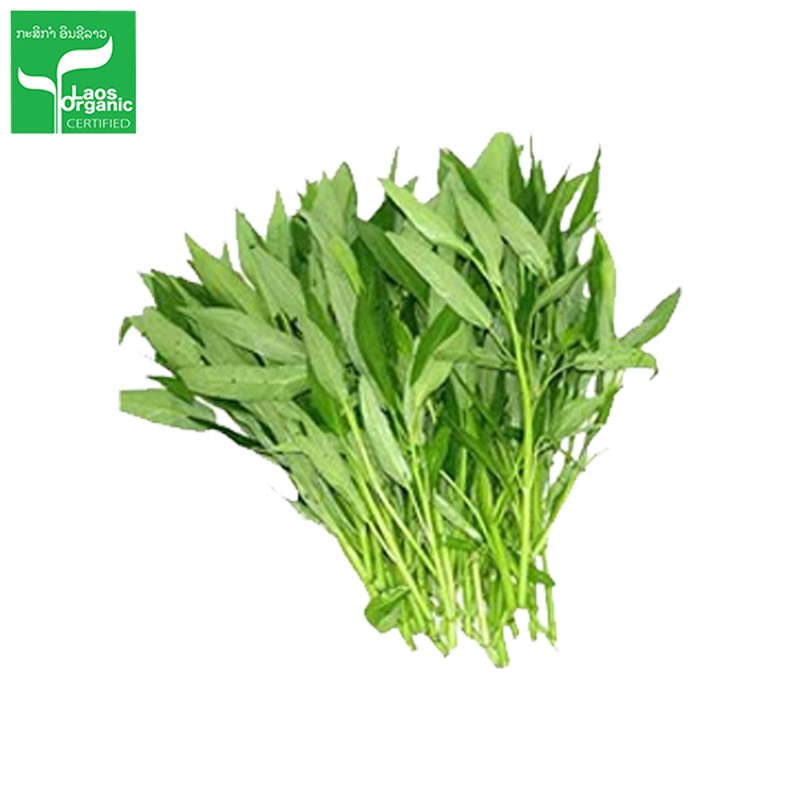 Organic Morning Glory 0.5kg