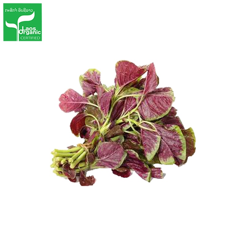 Organic Red Amaranthus 0.5kg