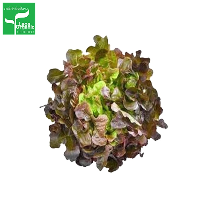 Organic Red Oak Salad 0.5kg