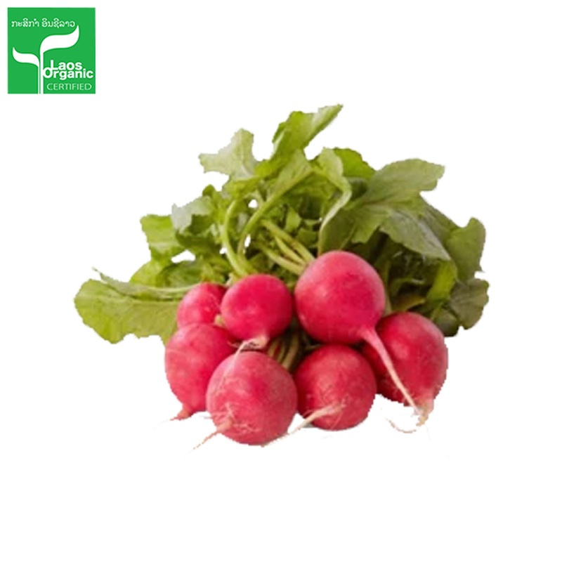 Organic Red Radish per 0.5kg