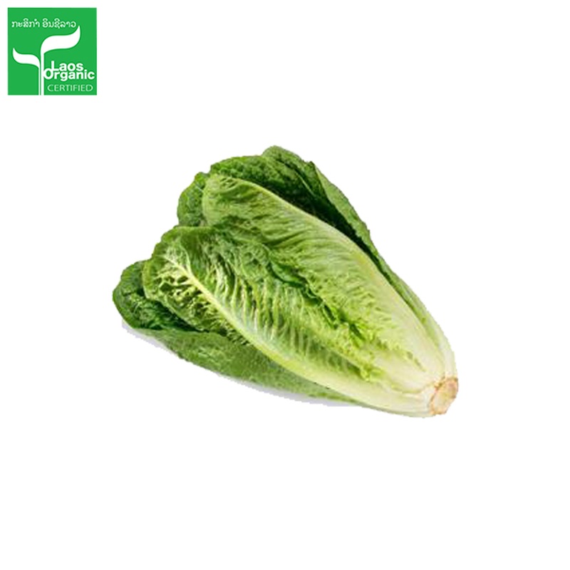 Organic Roman Salad 0.5kg