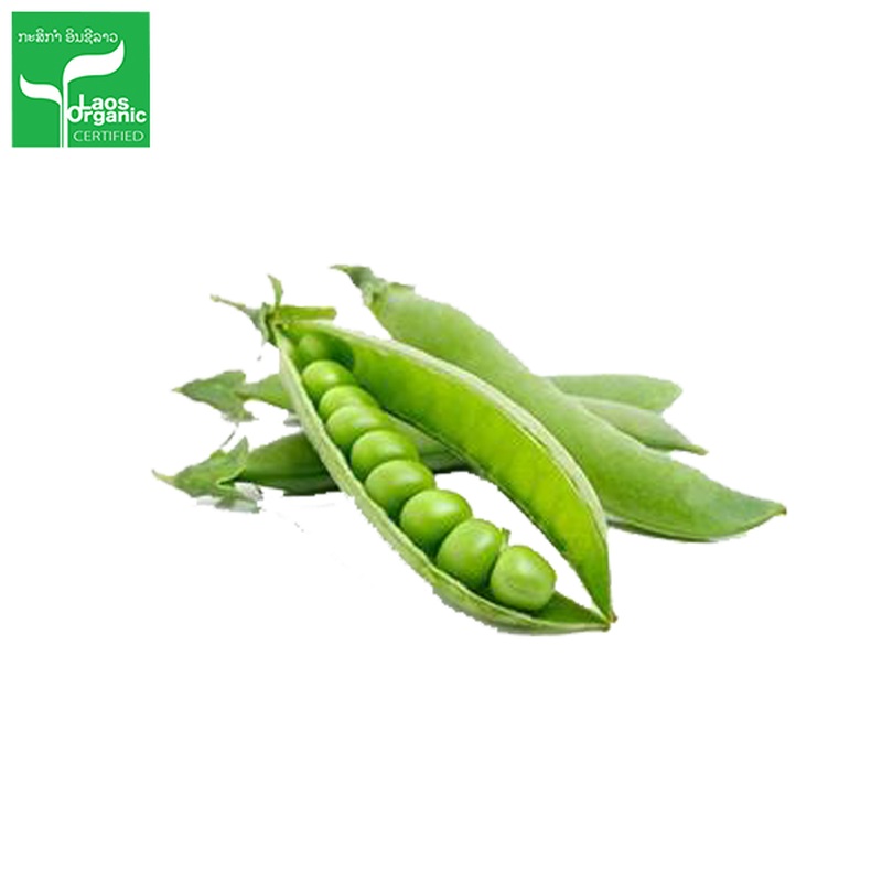 Organic Snap Beans 0.5kg