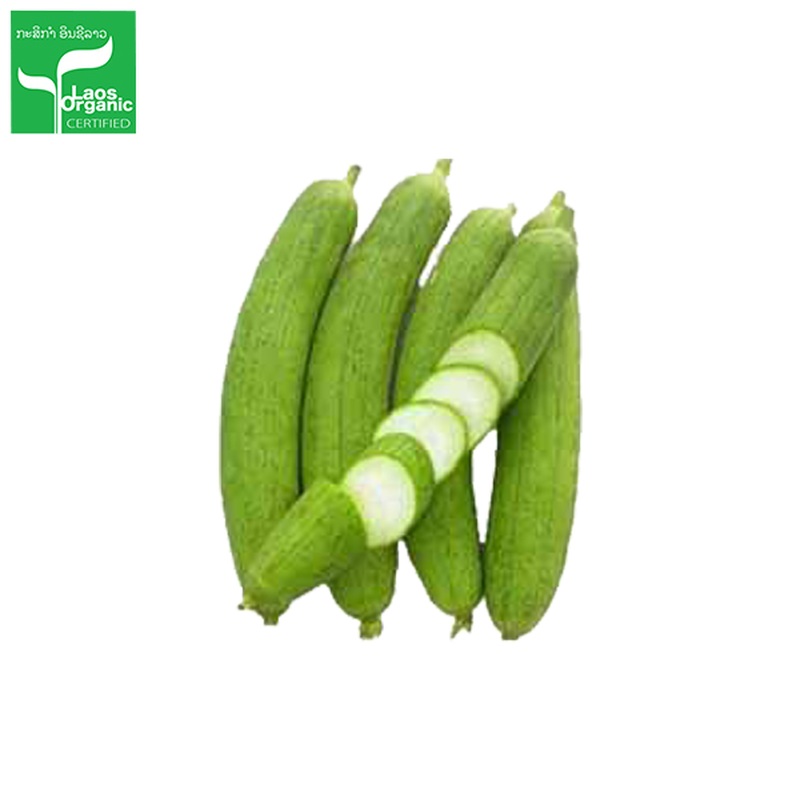 Organic Sponge Gourd 0.5kg