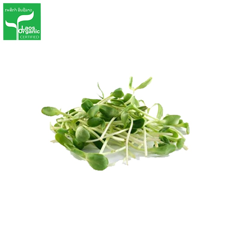 Organic Sunflower Sprouts per 350g bag