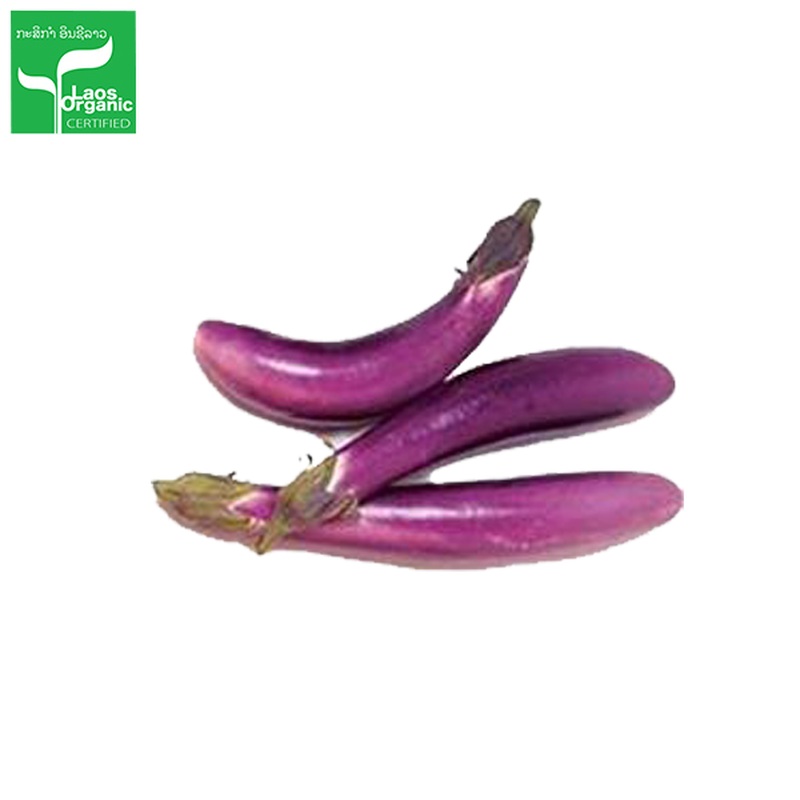 Organic Thin Purple Egg Plant 0.5kg