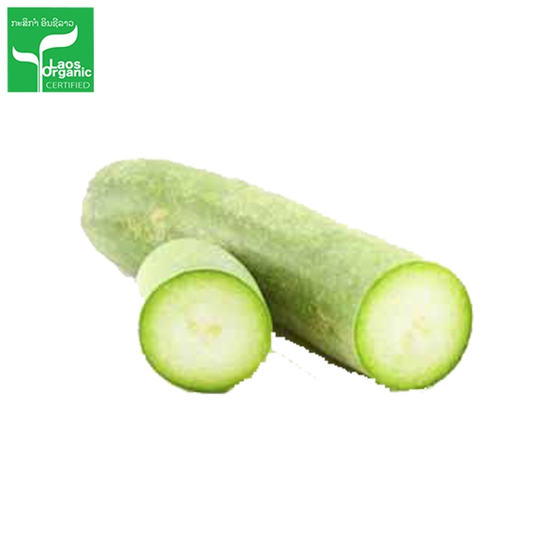 Organic Wax Gourd 0.5kg