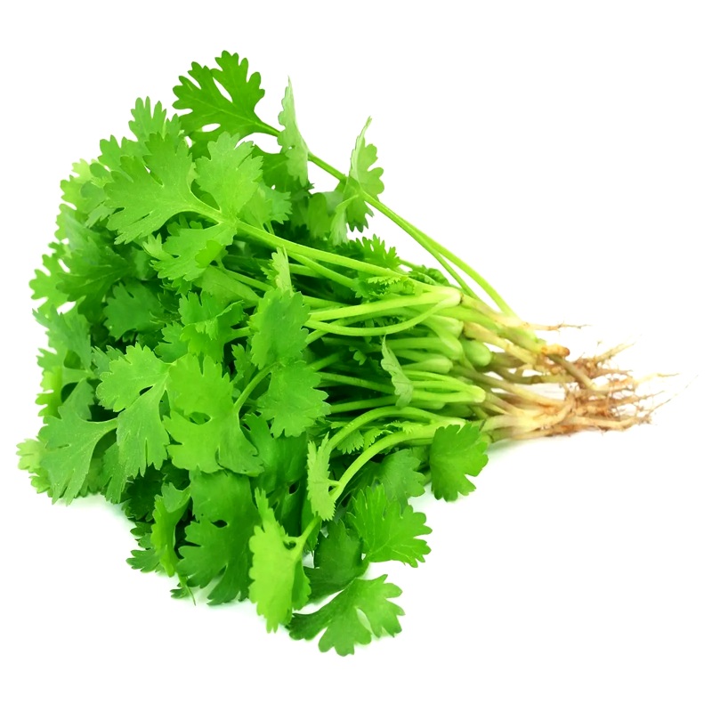 Coriander per bundle 50g-100g