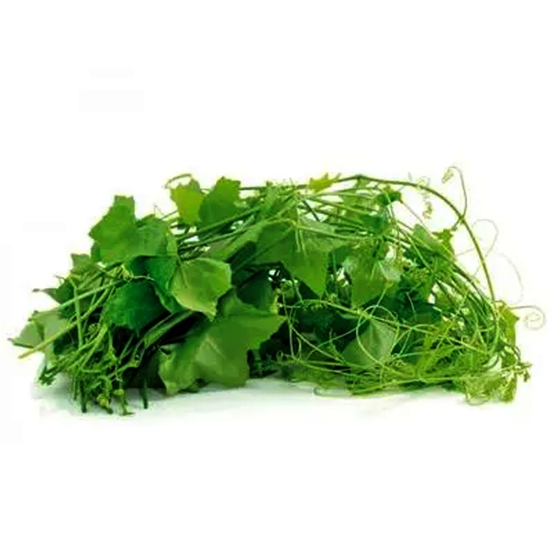 Ivy Gourd per 500g