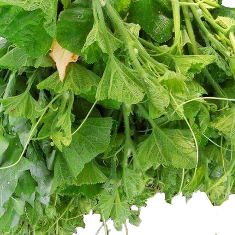 Pumpkin leaves per bundle