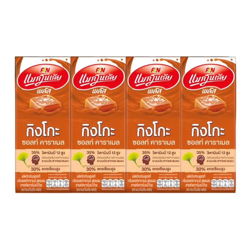 Magnolia Plus Ginkgo Sauce Caramel Flavour UHT Milk Product 180ml Pack of 4 boxes