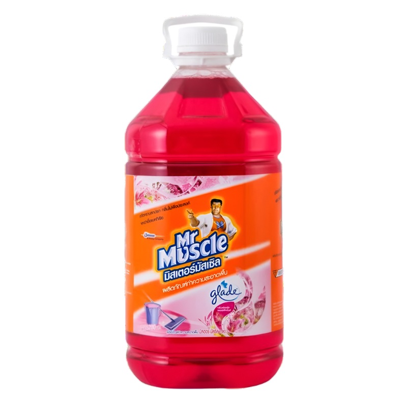 Mr Muscle Floral Perfaction ScentFloor Cleaner Size 5.2L