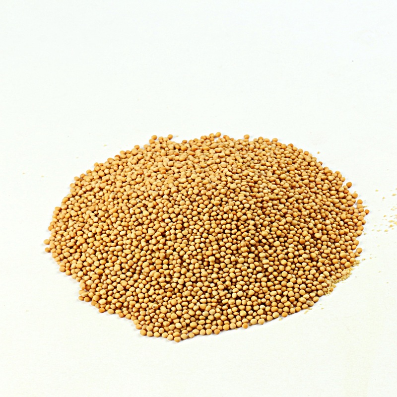 ATLAS MUSTARD SEED YELLOW 1KG