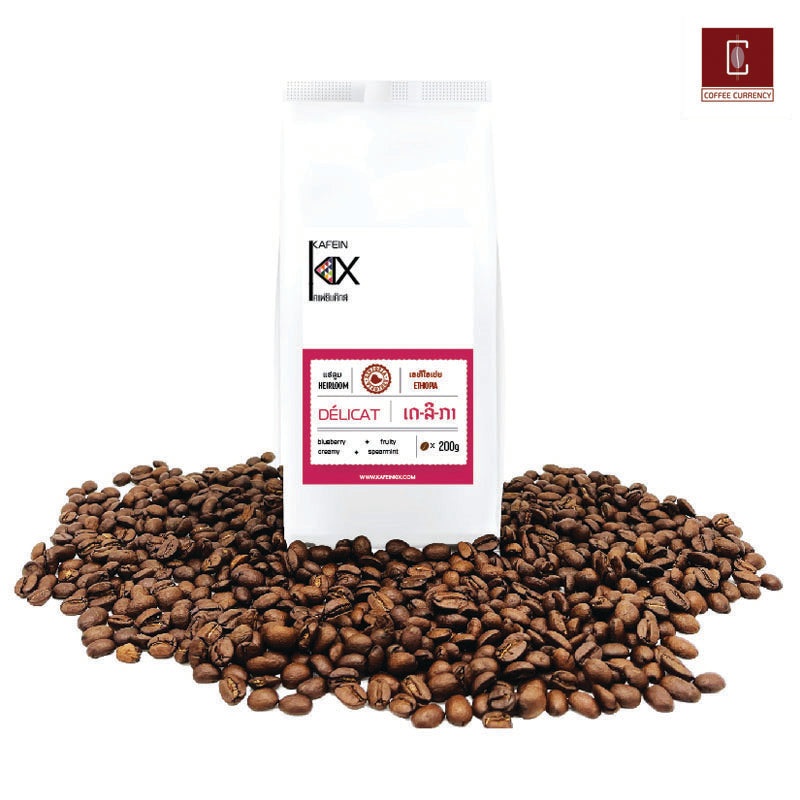 Kafin Kix KIX-Delicat - Ethiopia (Medium Roast)  200G