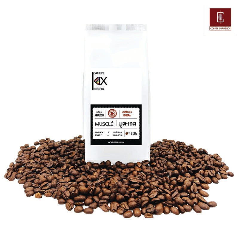 Kafin Kix KIX- Muscle - Ethiopia (Medium Dark Roast) 200G