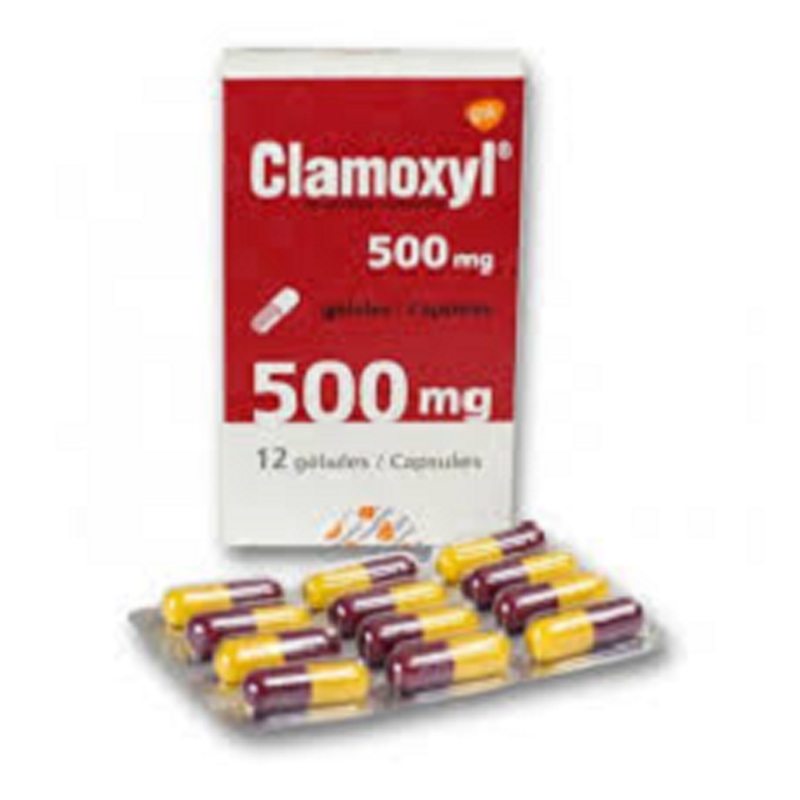 Clamoxyl Amoxicillin 500mg Powder for oral suspension In Sachet-dose boxes of 12 Sachet-dose