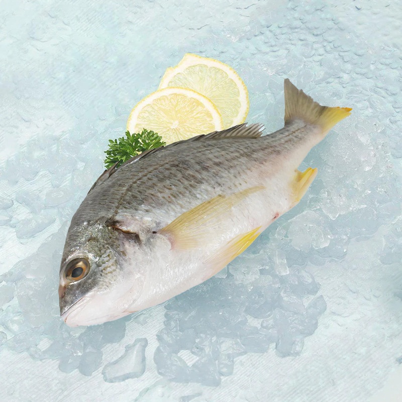 Yellow Fin Seabream (Whole)