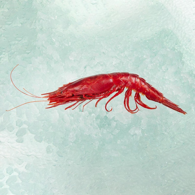 Spanish Frozen Jumbo Red King Prawn  (300g)