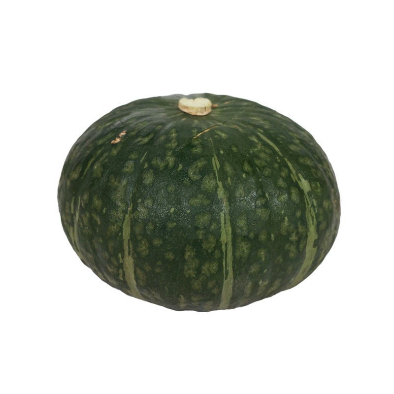 ZUCCA Japan Chestnut Maron Pumpkin  (1pc)