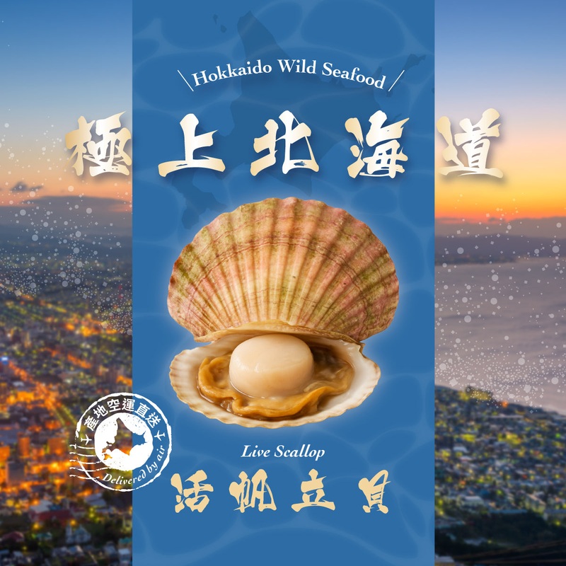 KANESHIME-C Japan Hokkaido Live Scallop (pc)