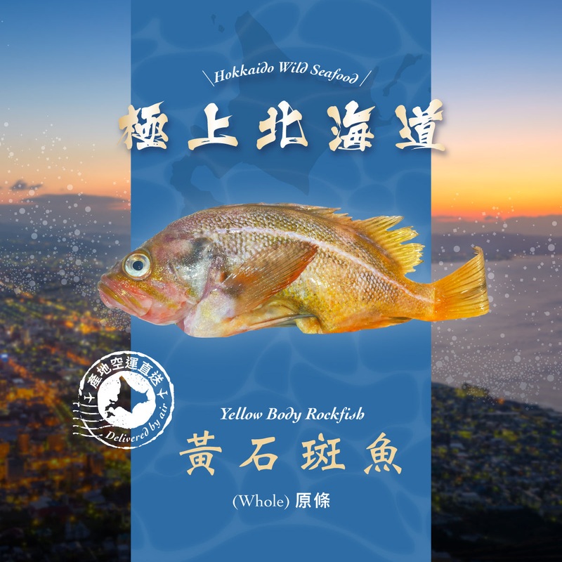 KANESHIME-C Japanese Hokkaido Yellow Body Rockfish (Whole)