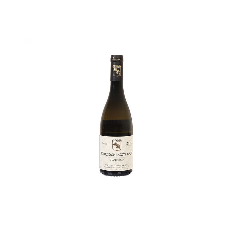 DOMAINE FABIEN COCHE Bourgogne Cote-d'Or Blanc 2022 (750mL)
