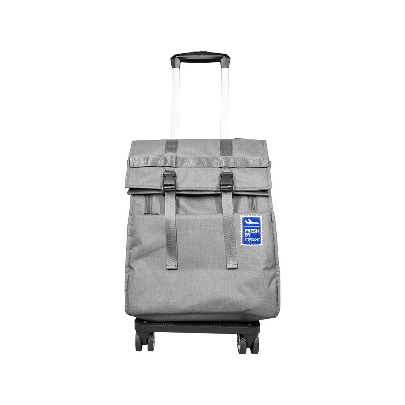 CITYSUPER 4 Wheels Fold-Up Expandable Trolley With Strap L-Grey