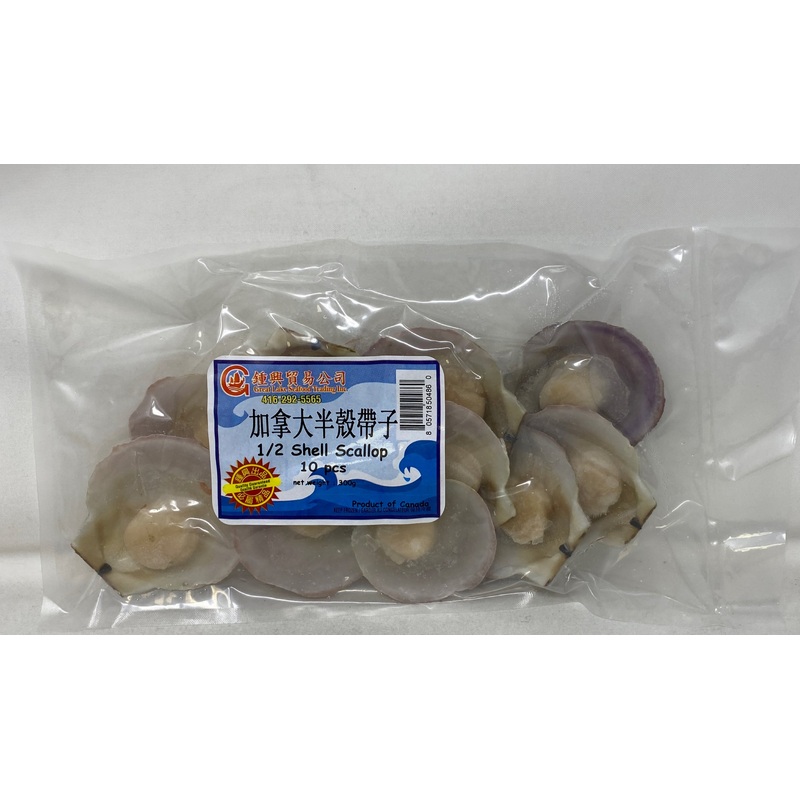 Great Lake Shell Scallop