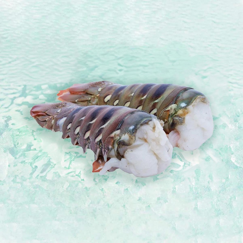 Australia Lobster Tail [Previously Frozen]  (300g)