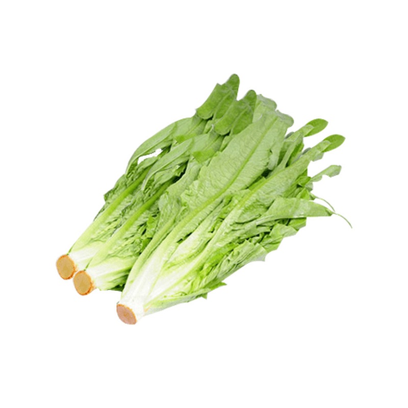 China Yunnan Baby Indian Lettuce  (1pack)