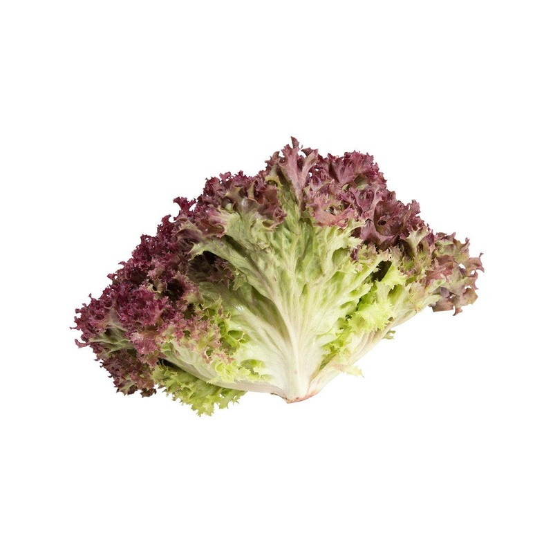 French Lollo Rosa Lettuce  (170g)