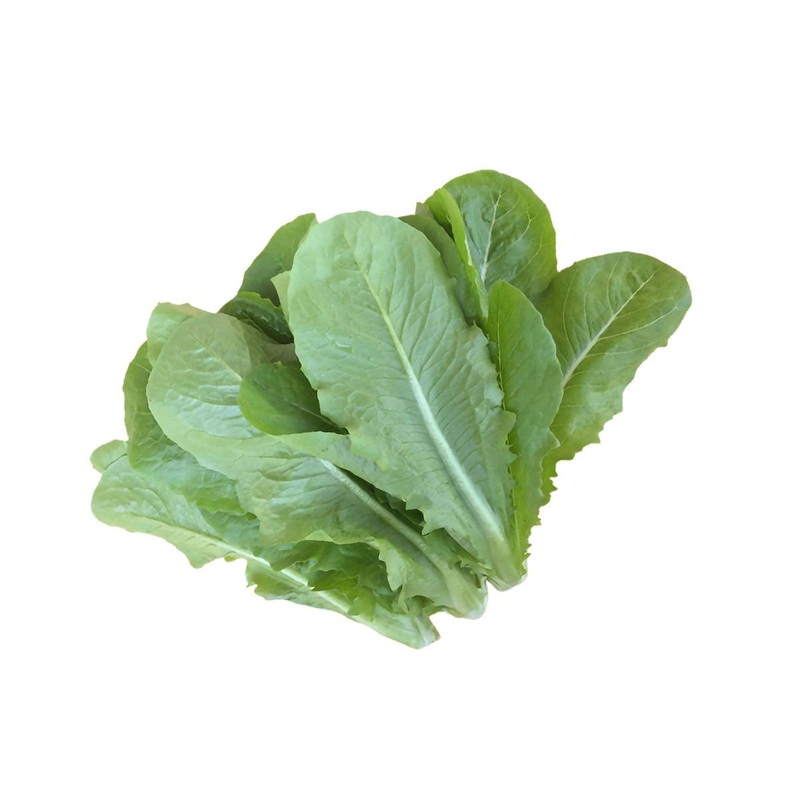 USA Organic Big Butter Lettuce  (1pc)