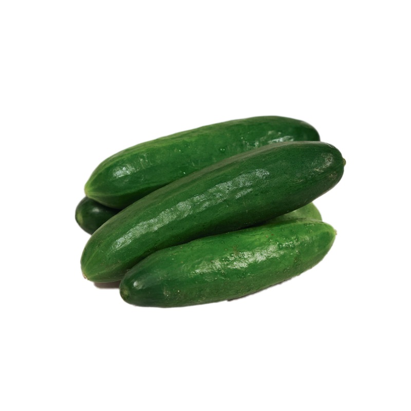 Australian Mini Cucumber  (1pc)